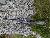 FS: RUGER GUNSITE SCOUT RIFLE