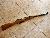 FS: DDR East German M44 Mosin Nagant