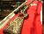 FS: Beautiful Browning Eclipse With the Boss Choke 